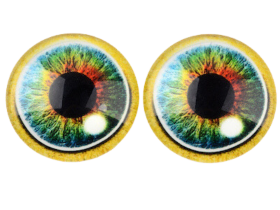 Kawaii Eyes Cabochons Craft Eyes Tiles Flat Round Eyes - Temu Australia